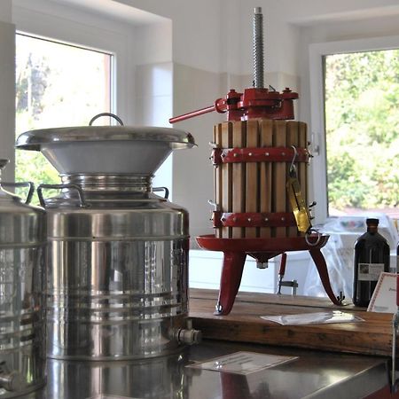 Ca' Dei Fazzilisti Bed and Breakfast Mori Buitenkant foto